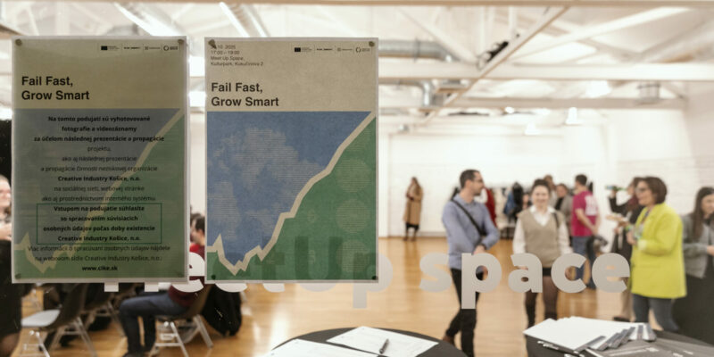 Fail Fast Grow Smart-3